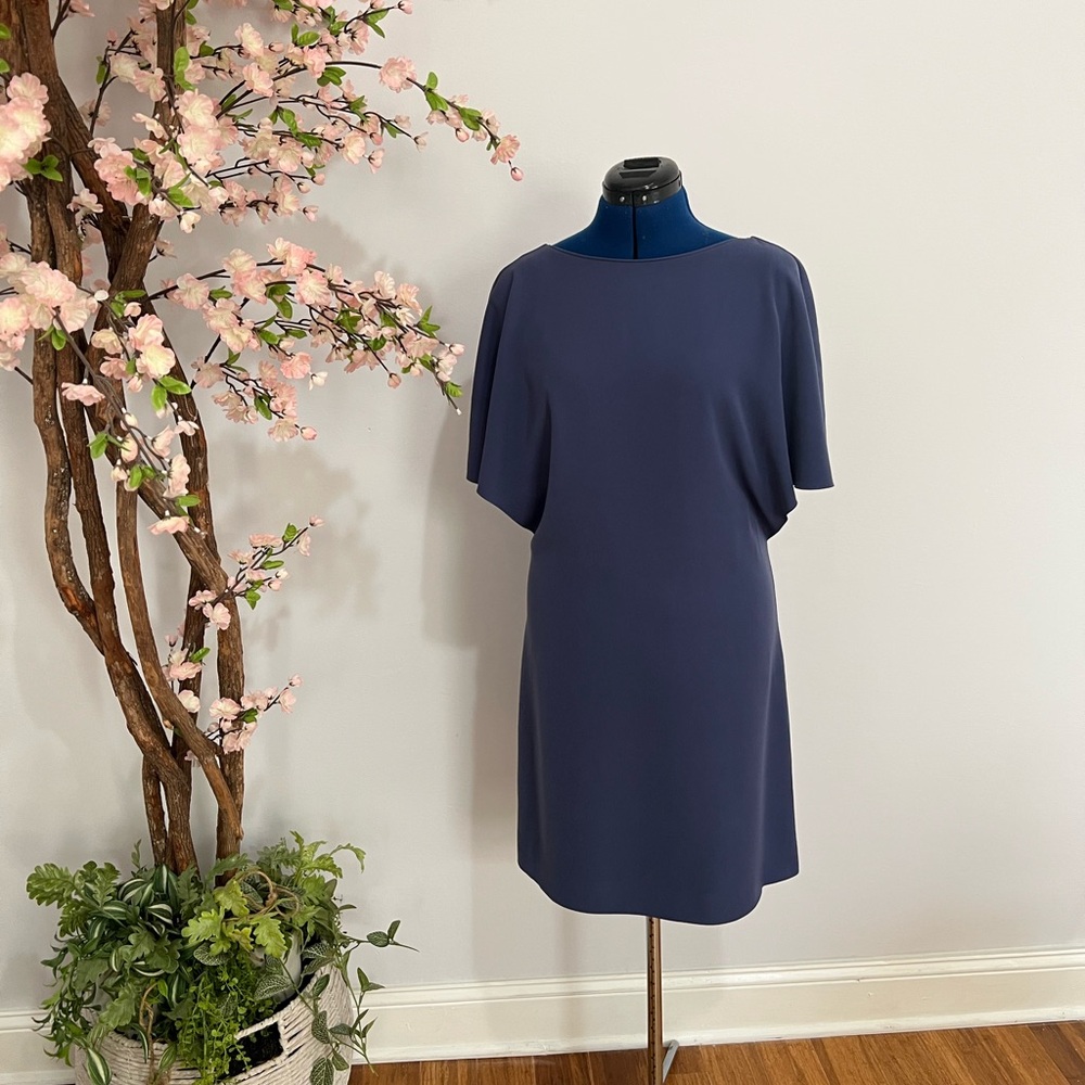 Blue cap sleeve cocktail dress.